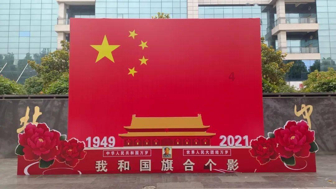 救援袋鼬